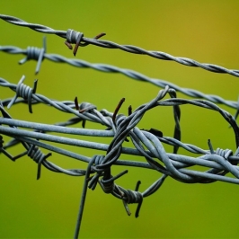 Barbed Wire in Palamu