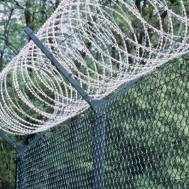 Concertina Wire in Anugul